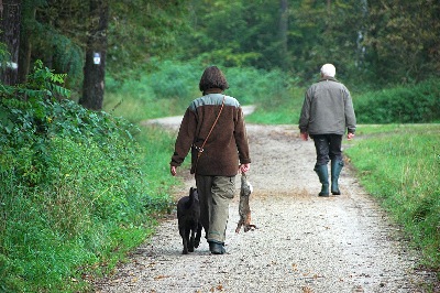 Zur Kaninchenschleppe. VGP Okt 2010