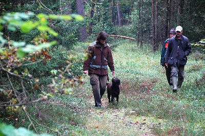 Folgen frei bei Fuß. VGP Okt 2010